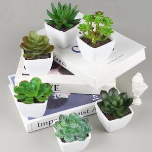<span class=keywords><strong>Echeveria</strong></span>-bonsái artificial para decoración del hogar, mini plantas suculentas, tacto real, 2023 - Product Image 2