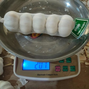 <span class=keywords><strong>Ail</strong></span> tressé blanc pur de Chine, sac <span class=keywords><strong>en</strong></span> filet de 1 kg, 5,0 cm/5,5 cm - Product Image 3