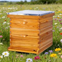 Ruche à 10 cadres complète, kit de ruche avec cire d'abeille, incluant cadres et feuilles de fondation, pour tous les niveaux d'apiculture