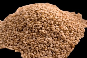 Concentrado de Proteína de Sésamo Prensado en Frío, Proteína Vegetal Cruda Sin Alérgenos para Dieta Keto y Suplementos, Suministro a Granel - Product Image 5