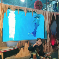 Aquarium mural en acrylique épais et résistant, à haute transparence, avec tunnel sous-marin, cristal irrégulier spécial, grand aquarium pour poissons