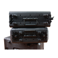 Flight Case personnalisé 2U 4U 6U 8U HDPE Boîte en U Roues et poignée OEM & ODM Pris en charge par un fabricant professionnel