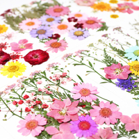 Natuurlijk bloemen DIY-materiaalpakket Embossing Handgemaakte feeënmake-up voor studenten Bruiloft Kerst Gezichtsdecoratie Goedkeuring