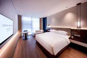 Nuevo Juego de Muebles de Dormitorio de Lujo Moderno con Marco de Madera Sólida y Mosquitero, Personalizado para Villas y Hoteles - Product Image 3