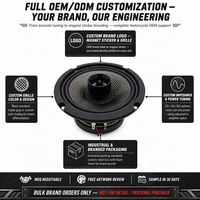OEM ODM Haut-parleur moto 6,5 pouces IPX6 2 Ohms, panier en acier, moteur en ferrite, grille personnalisée, logo de marque, 500 paires minimum, noir, 12V CC