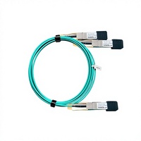 200G QSFP56 to 2x100G QSFP56 AOC Active Optical Cable Breakout Fiber Cable for Carrier Network Use
