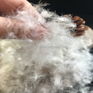 Chất lượng cao <span class=keywords><strong>90</strong></span>/10 vịt xuống eiderdown nguyên mẫu cho thoải mái và ấm áp - Product Image 5