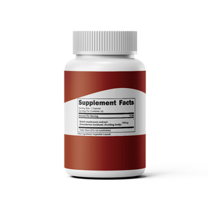 Suplemento de Cápsulas de Extrato de Cogumelo Reishi <span class=keywords><strong>Ganoderma</strong></span> Lucidum - Product Image 5