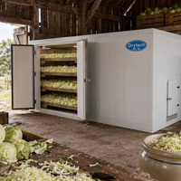 Heteluchtrecycleer groente droogmachine dehydrator aardappel droogmachine