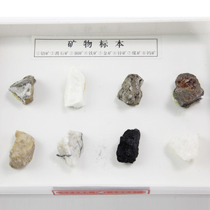 Espécimen Mineral (Caja de Plástico) J49005, Instrumento de Enseñanza de Ciencias Naturales, Geografía y Ciencia Popular para Escuelas Primarias - Product Image 2