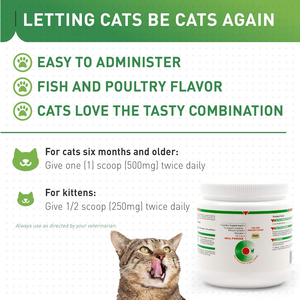 Poudre de <span class=keywords><strong>L</strong></span>-<span class=keywords><strong>Lysine</strong></span> pour la santé oculaire des chiens et chats seniors, compléments alimentaires pour la santé immunitaire et digestive des animaux de compagnie, vitamines pour chats, suppléments pour chiens et chats - Product Image 4