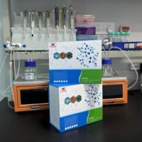 Kit de recherche ELISA sur la phospholipase D spécifique aux glycosides de phosphatidylinositol humain (GPLD1)