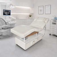 Cama de Belleza Eléctrica de 4 Motores con Función de Elevación e Inclinación Independiente Delantera y Trasera, Base Metálica, Altura Ajustable, para Clínica Dental y de Estética