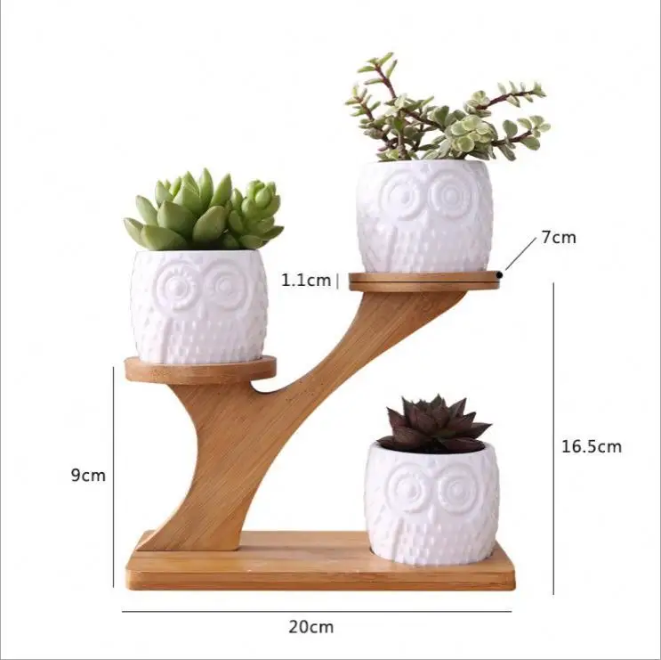 Creatieve Kleine Ronde Vetplant Pot Met Uil Ontwerp Cactus Bloem Container Planter Bamboe Stand Voor Thuis Decoratie