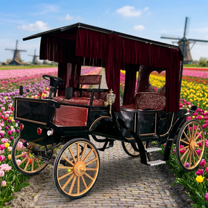 Vente chaude : Chariot électrique à quatre roues, style carrosse royal, pour mariages et visites touristiques, type carrosse de Cendrillon, à vendre - Product Image 1