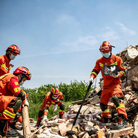 Landslide Victim Locator Seismic and Audio Sensing Through Mud and Rocks