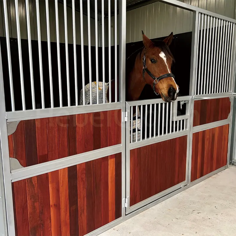 Stalles intérieures préfabriquées pour les chevaux Stall Front Horse Barn Matériau de construction Panneaux d'écurie pour chevaux Installation facile