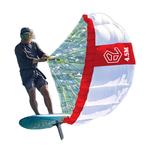 Parawing 4.5M Kitesurf pour eaux océaniques Unisexe Débutant Surf Planche à roulettes Enseignement Windfoil Parapente Planche de surf Downwind - Product Image 1