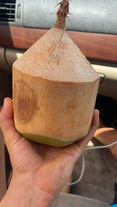 Pelador de coco automático multifuncional, máquina de eliminación de cáscara exterior de fruta de acero inoxidable 304 para embalaje de procesamiento rápido - Product Image 3