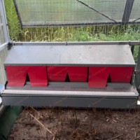 Nouvelles nichoirs à poules à un ou deux niveaux avec collecte d'œufs à roulement, pour élevages avicoles à grande échelle, galvanisés