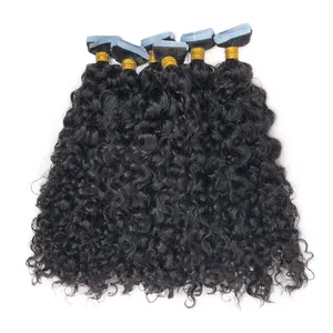 Wholesale Original Raw Indian Hair Curly Tape In Hair Extensions For African American Market