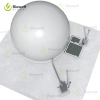 Generador de Biogás de Pequeño a Industrial y Motor de Biogás para Instalación de Proyectos de Plantas de Energía de Biogás