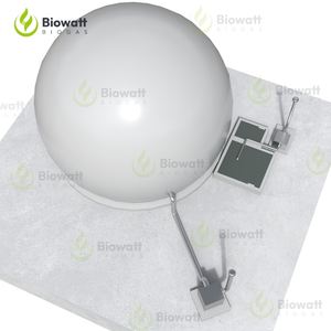 מערכת גנרטור ביוגז קטנה עד תעשייתית ומנוע ביוגז להתקנת פרויקט תחנת כוח ביוגז - Product Image 5