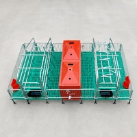 Nouvelle cage de mise bas Agricon en acier galvanisé à chaud de type H, modèle double face, capacité de 24 porcelets, longue