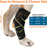 Bandage en néoprène pour les chiens, soulage la douleur, enveloppant les articulations des jambes