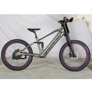 Bicicleta Eléctrica Personalizada de Carreras de 24 Pulgadas, 48V, 15Ah, 1000W, Motor Potente, 60Km/h, para Niños, Adolescentes y Jóvenes - Product Image 6