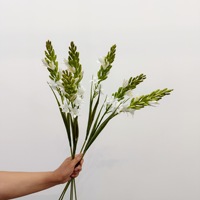 Bunga Buatan, Tuberose, Evening Primrose, Hyacinth Dekorasi Rumah Modern, Perlengkapan dan Aksesoris Pernikahan