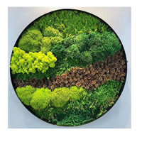 Pôles de mousse en gros PENGXUAN, pôle de mousse pour plantes, stabilisation, pôle de mousse préservé