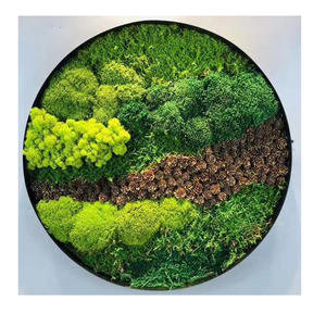 इनडोर कार्यालय होम ग्रीन प्राकृतिक संरक्षित काई दीवार कला सजावट दीवार कला - Product Image 6