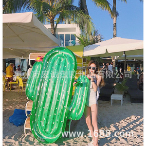 Inflatable Cactus Floating Bed 180X140Cm PVC Adult Swim Float Pool Raft - Product Image 4