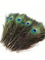 Vente en gros de plumes d'autruche, de faisan et de paon naturelles, teintes, de 25 à 130 cm, pour mariages et décorations indiennes