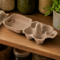 Carton à œufs en fibre recyclée moulée, biodégradable, compostable, durable, personnalisé pour 2/3/4/6/7/8/10/12/15/18/20 œufs, vente en gros
