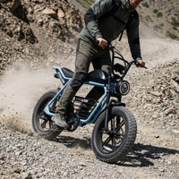 VTT électrique tout-terrain à couple élevé avec frein à disque hydraulique, vélo de montagne électrique à pneus larges pour l'aventure sur sentier