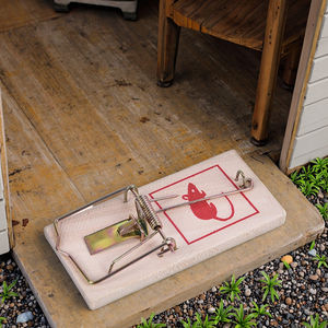 מלכודות עכבר הומני עץ לשימוש חוזר הביתה והגן הדברה רוצח עכבר יעיל - Product Image 6