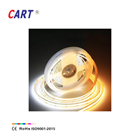 Bande lumineuse LED COB IC adressable flexible double blanc 2800K-6500K WS2811 SPI 10mm de large, pour hôtel, DC 24V, découpable