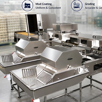 Machine de calibrage et de pelliculage des œufs de cane en acier inoxydable de qualité alimentaire pour ligne de traitement des œufs destinée aux usines d'œufs conservés