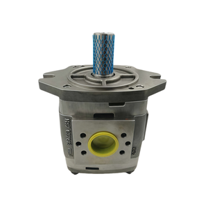 Pompe à engrenages hydraulique haute pression <span class=keywords><strong>IPV</strong></span> IPVP IPVAP IPN IPM IPNL série IPVP 5-50 101 IPVP 5-64 101 pompe à huile à engrenages - Product Image 1