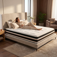 Vollgröße Taschenfederkernmatratze Gel-Memoryschaum Fabrikpreis Matratzen King Size Standard King Queen für Apartments Faltbar