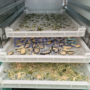 Séchoir à Fruits et Légumes, Séchoir à Gingembre, Séchoir à Cardamome et Piment, Machine de Séchage - Product Image 4