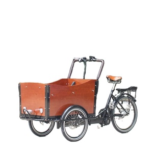 Triciclo Elettrico da Carico con Cassone in Legno, Bici per Bambini con Cinture di Sicurezza - Product Image 5