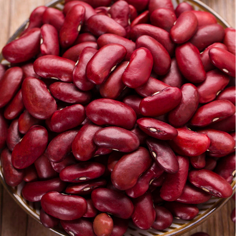 Wholesale Premium Quality Bulk Adzuki Red
