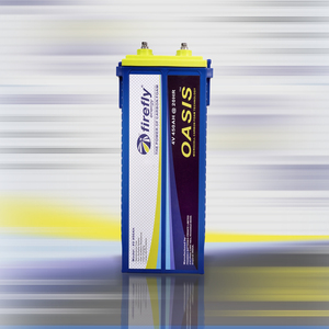 แบตเตอรี่ตะกั่วกรดแบบชาร์จไฟได้ FIREFLY OASIS 4V 450Ah อายุการใช้งานยาวนาน สำหรับโครงการจัดเก็บพลังงานทดแทน - Product Image 2