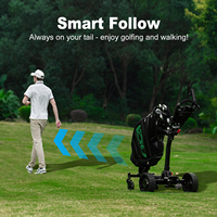 Chariot de golf électrique AI Follow Me avec télécommande, pliable, léger, batterie au lithium, meilleur prix OEM EcoRider