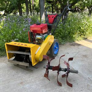Máquina de laminación y trituradora Paddy Field Weeding Rice Machine Mini máquina de eliminación - Product Image 6