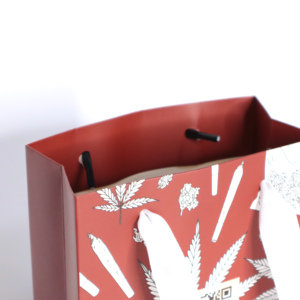 Sac en papier avec logo personnalisé, emballage luxueux, sac en papier avec poignée, sacs cadeaux en papier pour le shopping ou l'emballage - Product Image 3