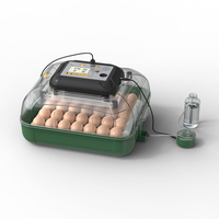 Incubateur à œufs automatique de 34 œufs, incubateur à œufs avec contrôle automatique de la température et de l'humidité pour l'éclosion des œufs de poulet